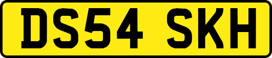 DS54SKH