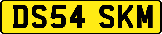 DS54SKM