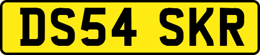 DS54SKR