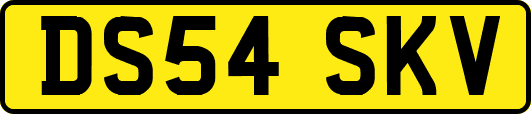 DS54SKV