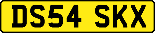 DS54SKX