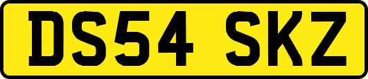 DS54SKZ