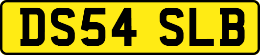 DS54SLB