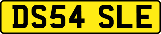 DS54SLE