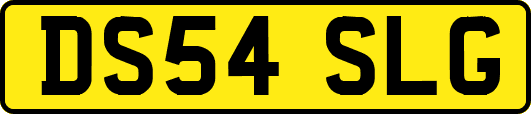 DS54SLG