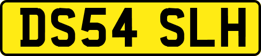 DS54SLH
