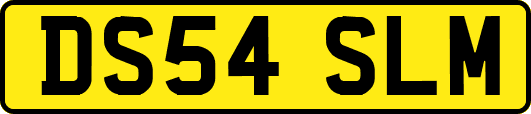 DS54SLM