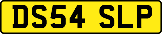 DS54SLP