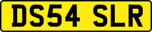 DS54SLR