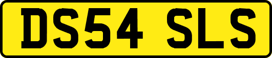 DS54SLS