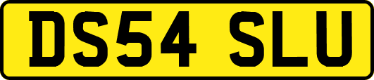 DS54SLU