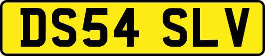 DS54SLV