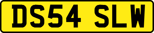 DS54SLW