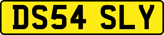 DS54SLY