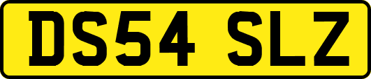 DS54SLZ