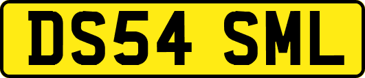 DS54SML