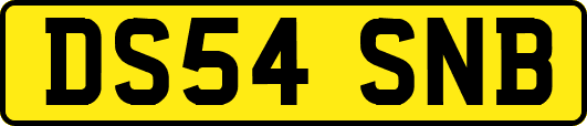 DS54SNB