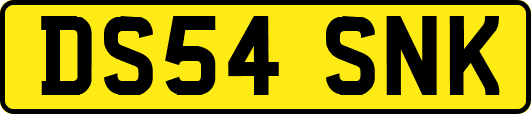 DS54SNK