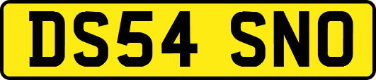 DS54SNO