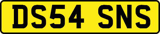 DS54SNS
