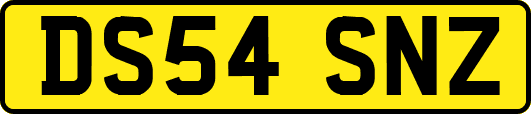 DS54SNZ