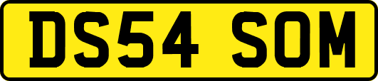 DS54SOM