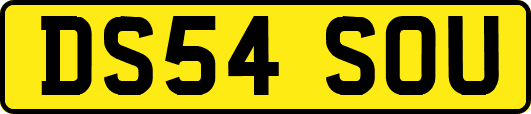 DS54SOU