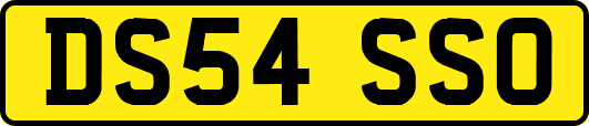 DS54SSO