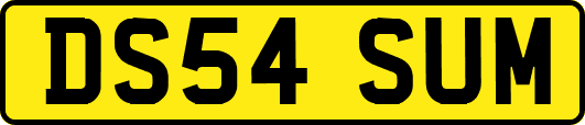 DS54SUM