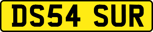 DS54SUR