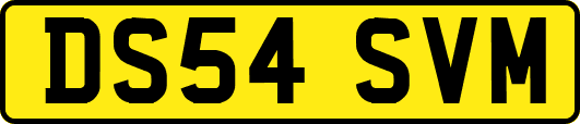 DS54SVM