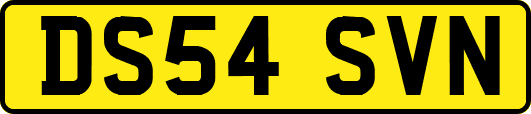 DS54SVN