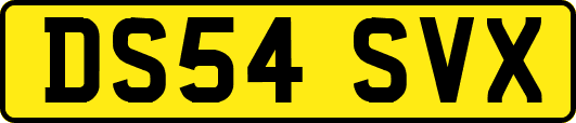 DS54SVX