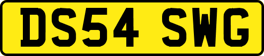 DS54SWG