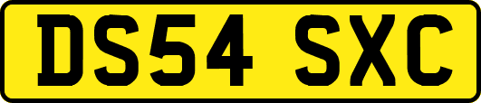 DS54SXC