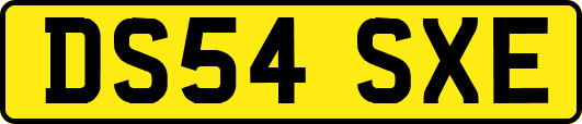 DS54SXE