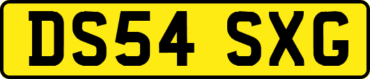 DS54SXG