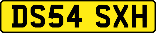 DS54SXH