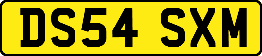 DS54SXM