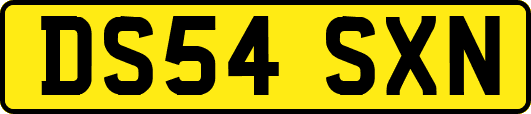 DS54SXN