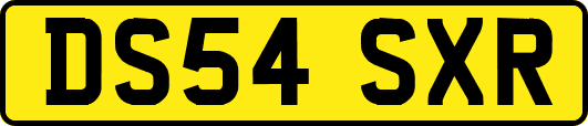 DS54SXR