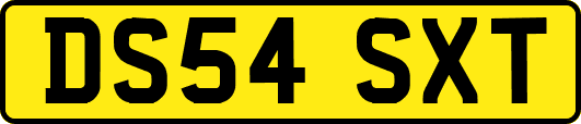 DS54SXT