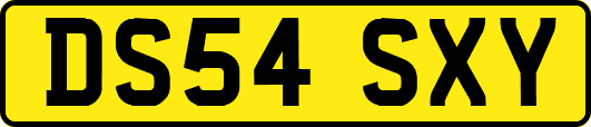 DS54SXY