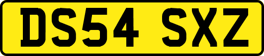 DS54SXZ
