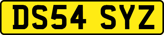 DS54SYZ