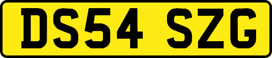 DS54SZG