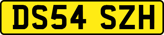 DS54SZH