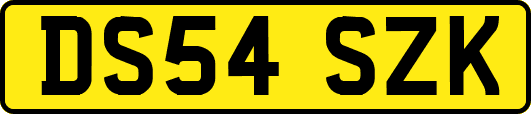 DS54SZK
