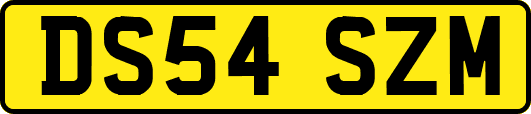 DS54SZM