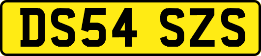 DS54SZS